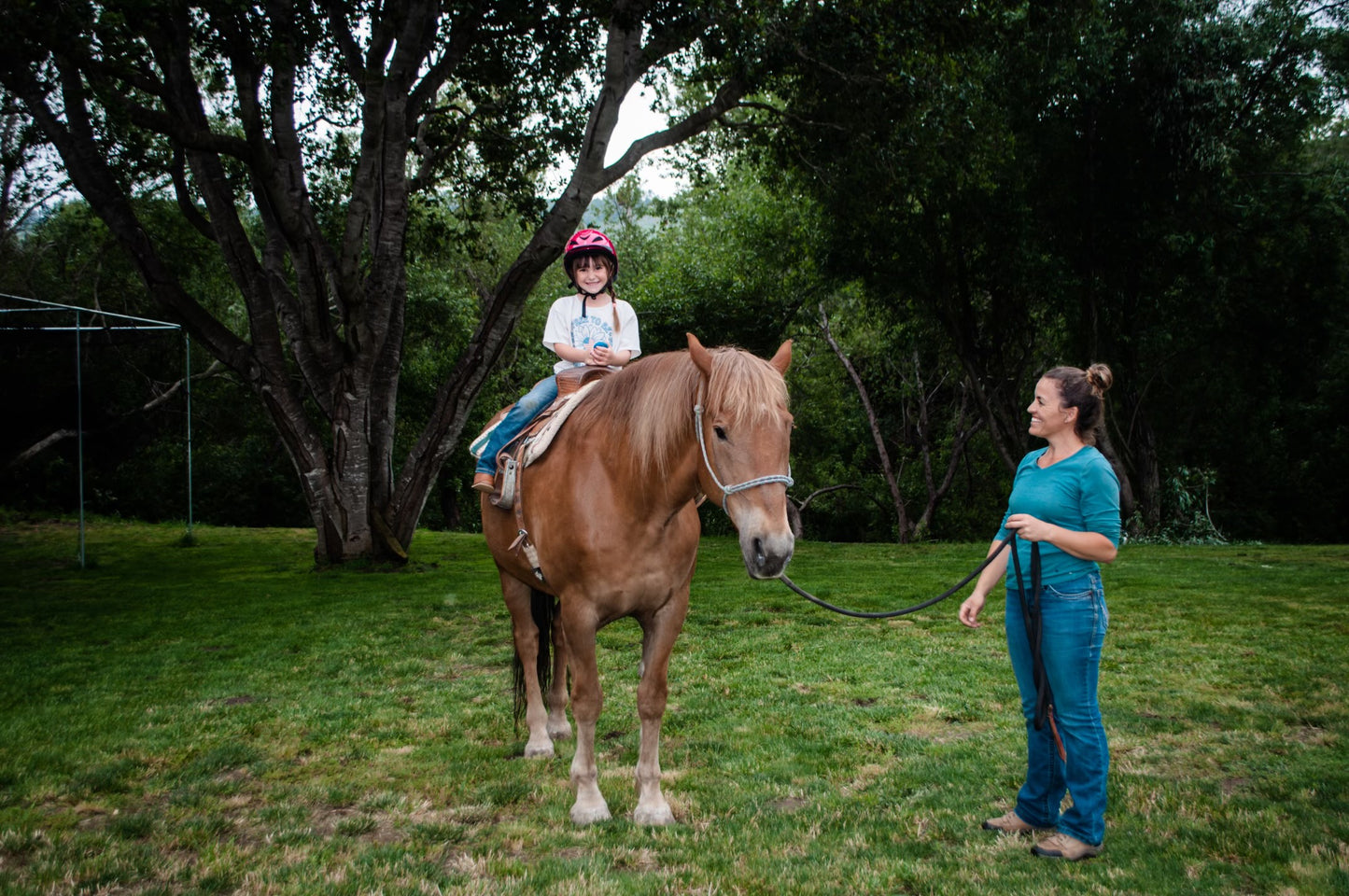 Giddy-Up Gathering: Children's Horse Experience (20 Minute - $40)
