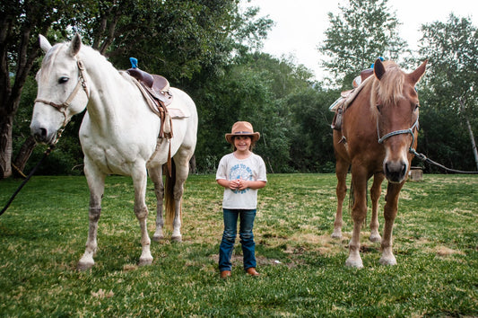 Giddy-Up Gathering: Children's Horse Experience (10 Minute -$20)